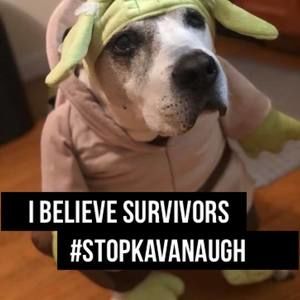 Meet your Posher, Krissy